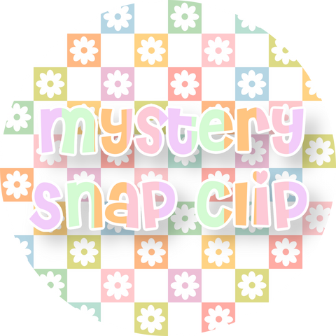 Individual Mystery Snap Clip